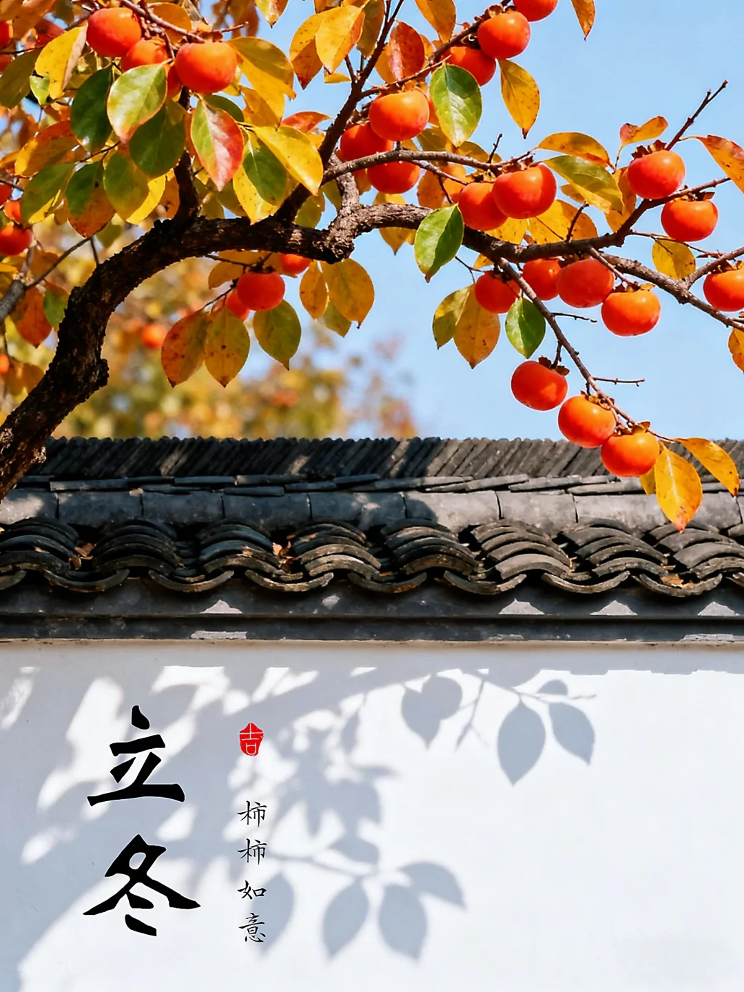 4ad70f04-0fa6-4310-b9d9-625f833dc806.png
